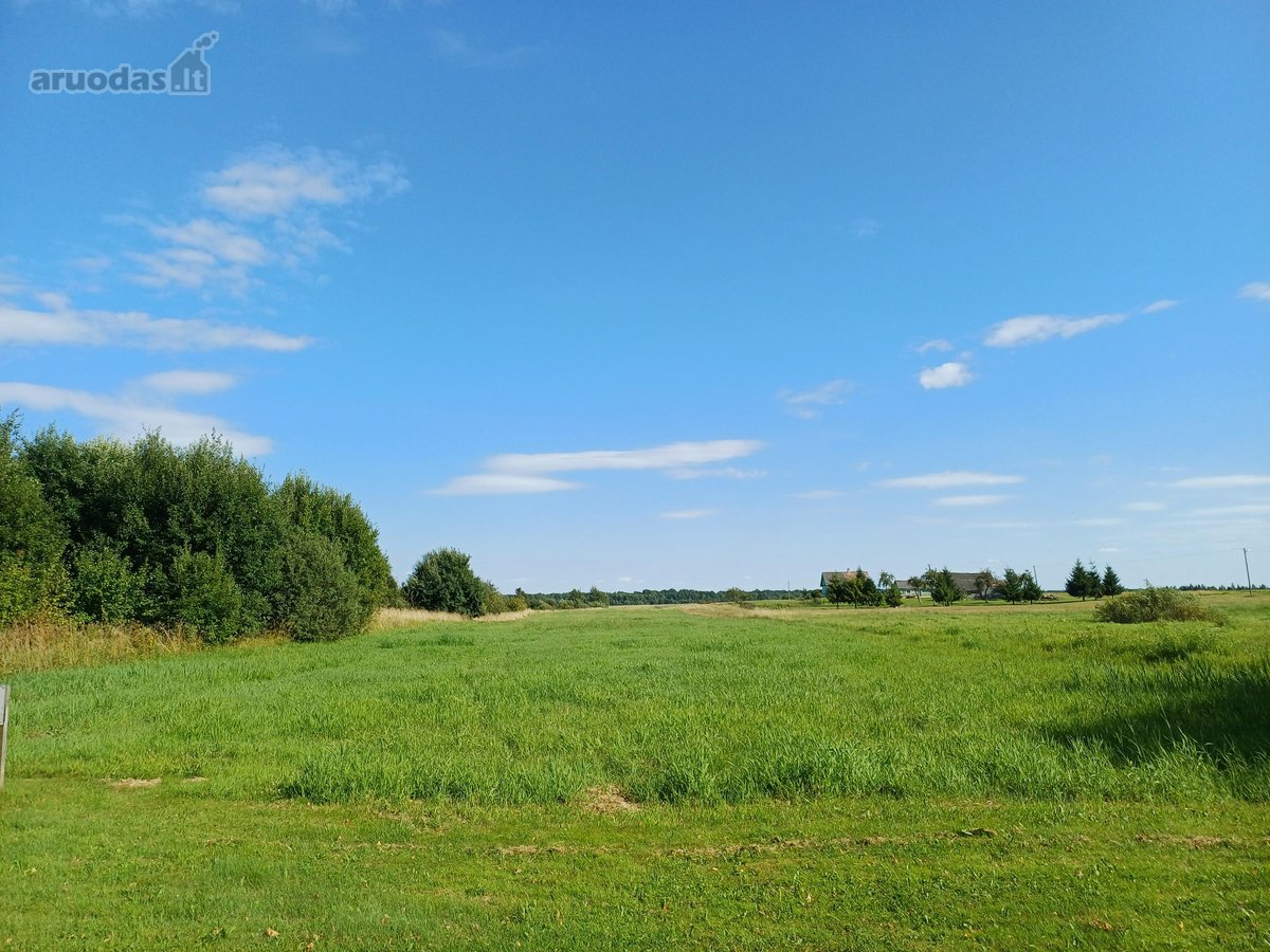 Atraskite Geisiškes: 5 namų valdos sklypai - nuotraukos Nr. 2