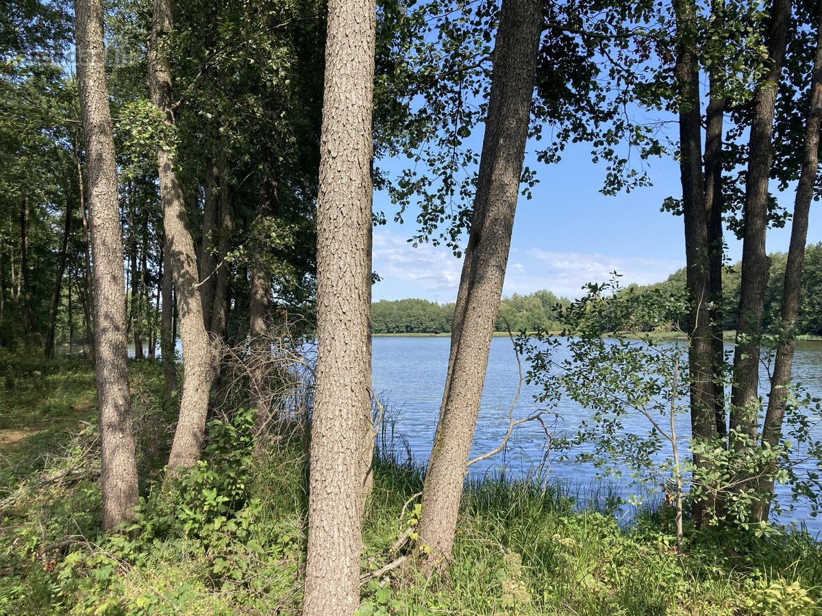 Druskininkų savivaldybėje, labai gražioje - nuotraukos Nr. 3