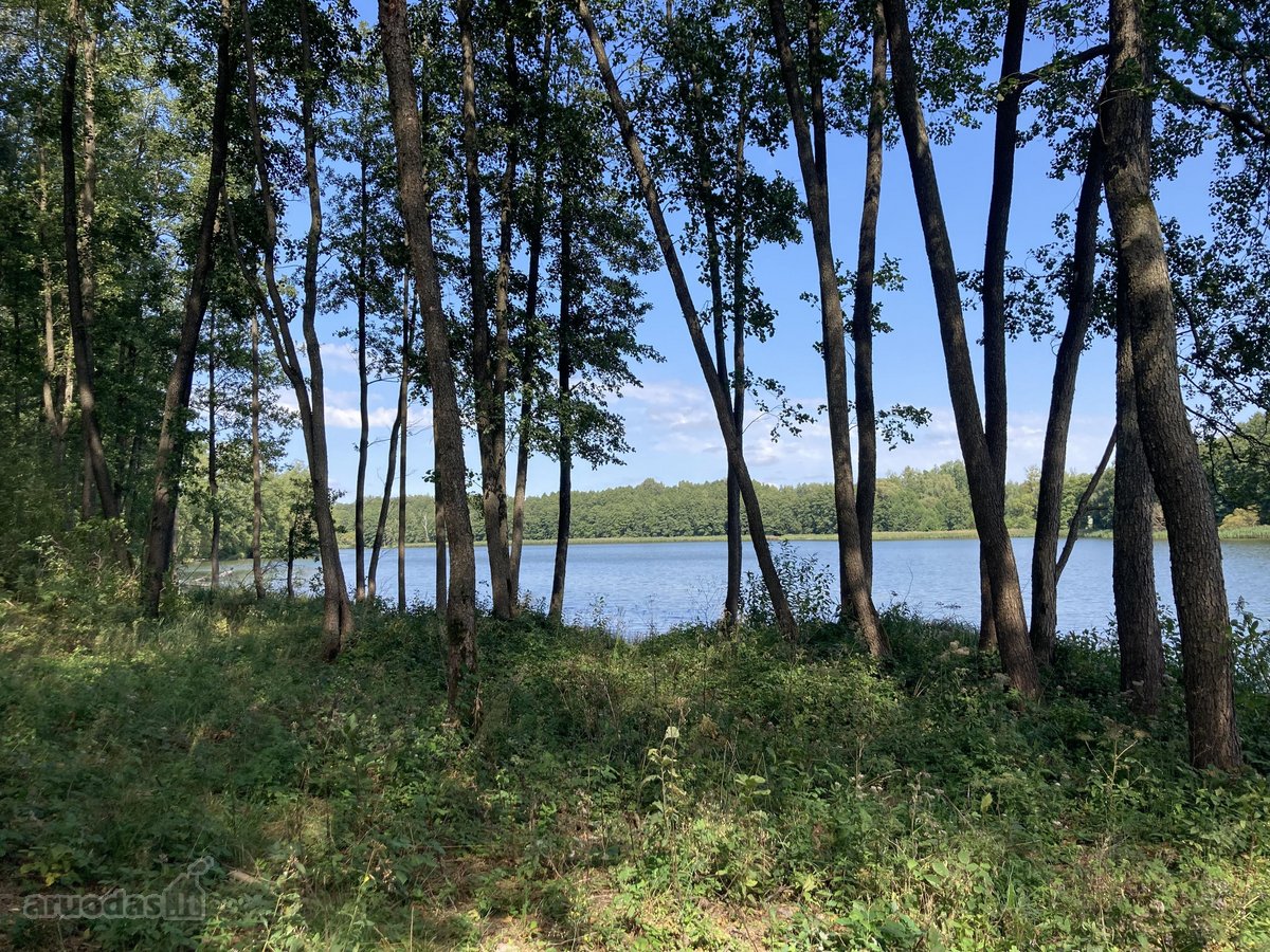 Druskininkų savivaldybėje, labai gražioje - nuotraukos Nr. 5