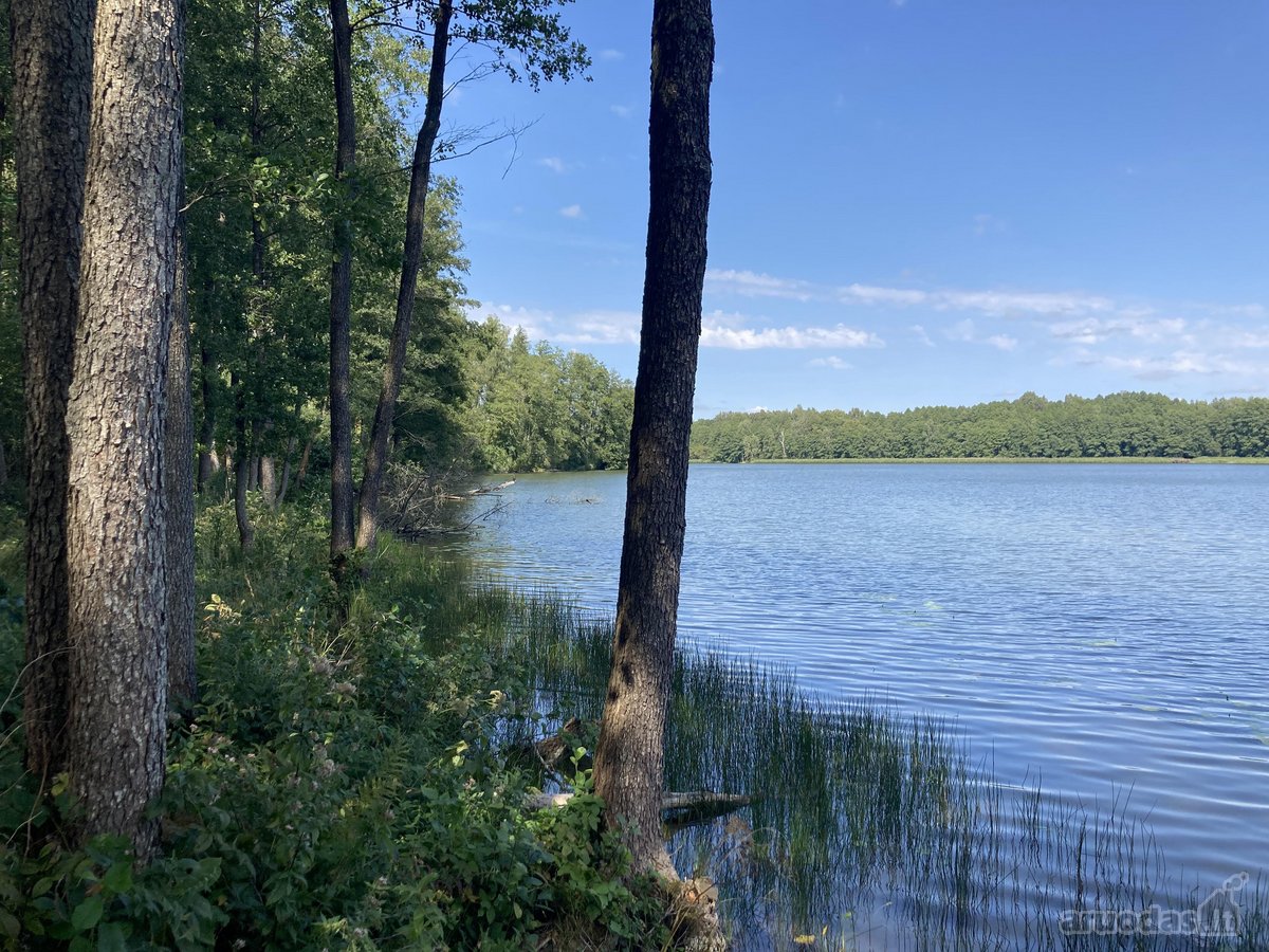 Druskininkų savivaldybėje, labai gražioje - nuotraukos Nr. 8