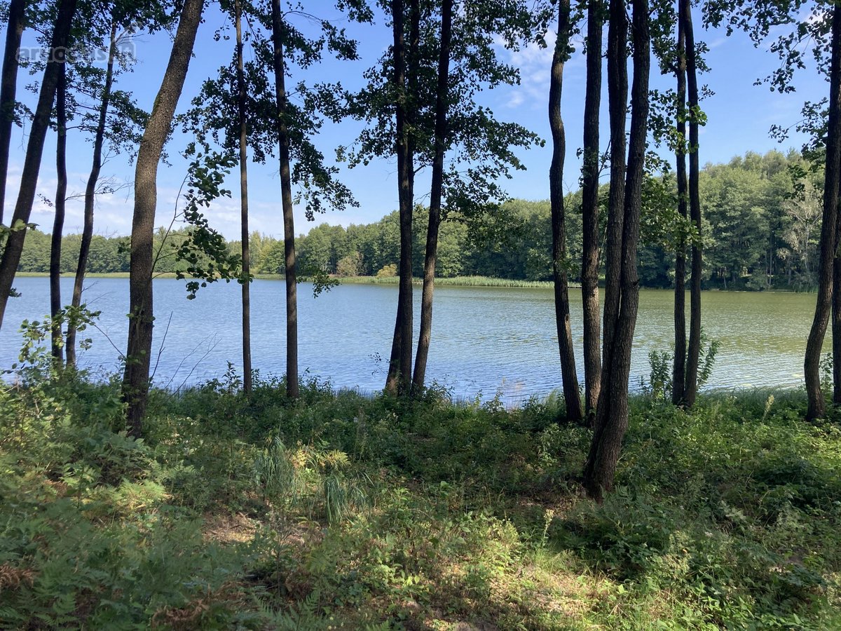 Druskininkų savivaldybėje, labai gražioje - nuotraukos Nr. 9