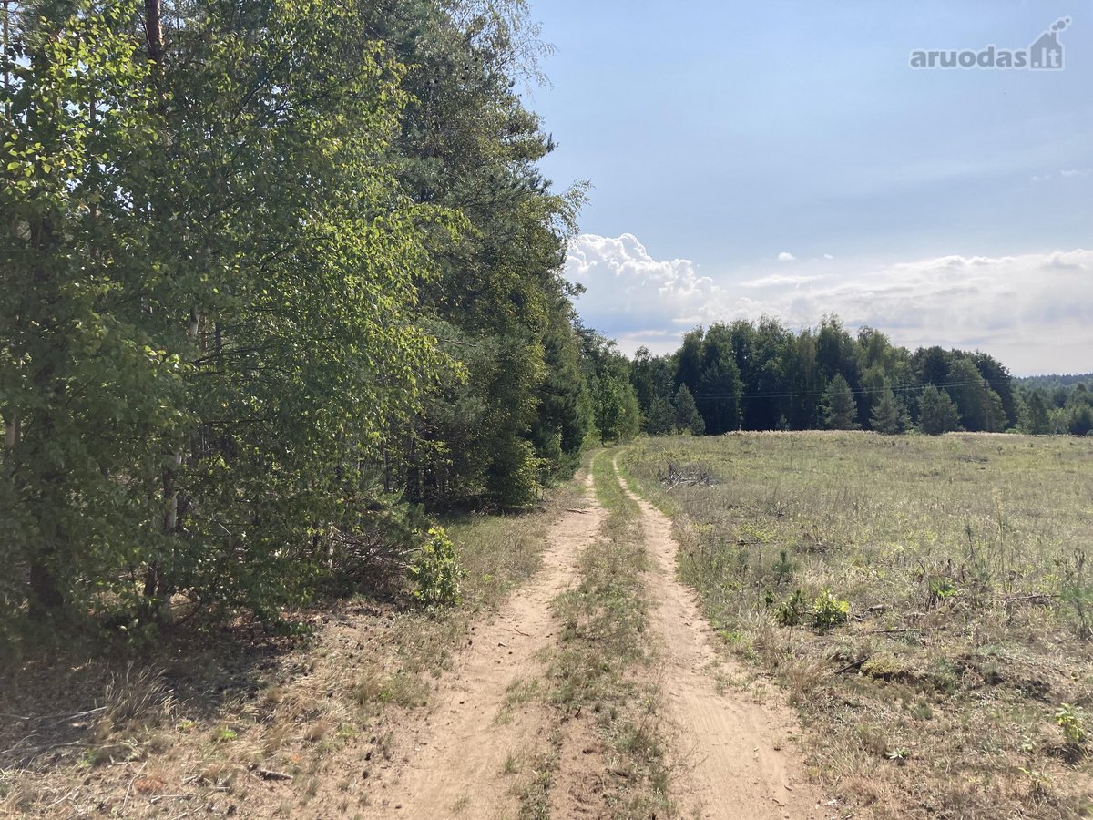 Druskininkų savivaldybėje, labai gražioje - nuotraukos Nr. 15