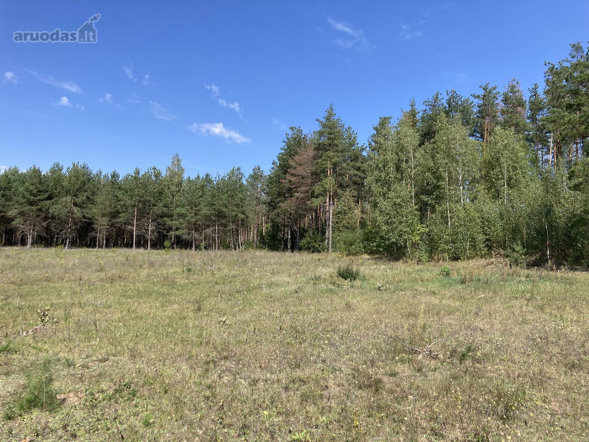 Druskininkų savivaldybėje, labai gražioje - nuotraukos Nr. 17
