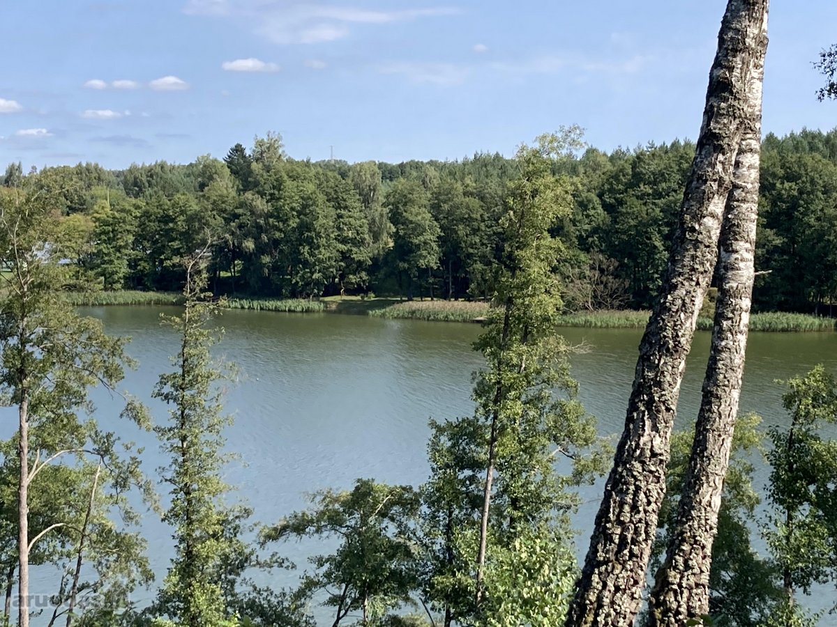 Druskininkų savivaldybėje, labai gražioje - nuotraukos Nr. 19