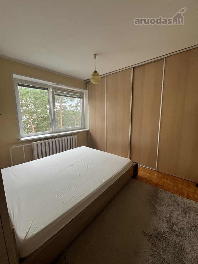 Butas saulėtas ir šiltas. Draugiški kaimynai. - nuotraukos Nr. 13