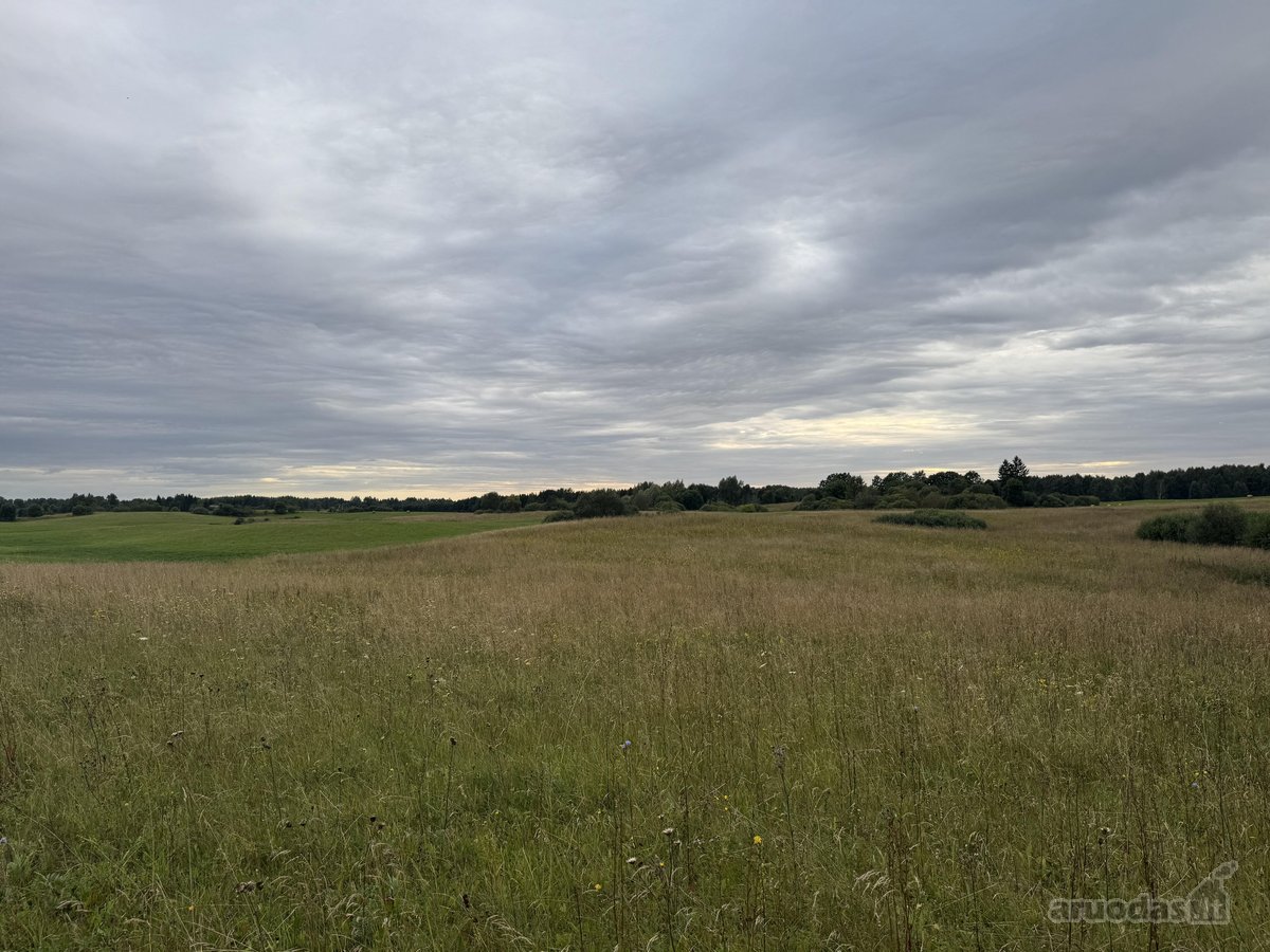 Molėtų r. sav., Šiaudžių k. - nuotraukos Nr. 3