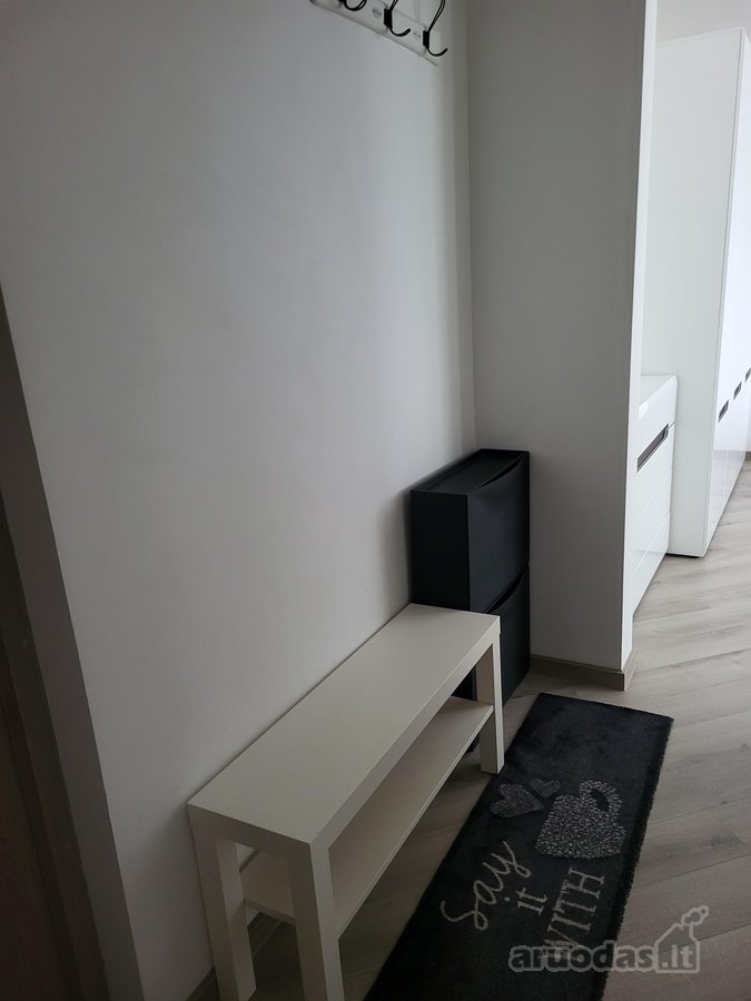 Nuomojamas erdvus, vieno kambario butas, su - nuotraukos Nr. 8