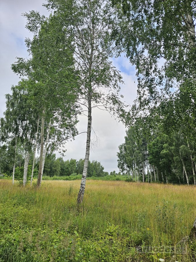 Parduodami Sklypai Jonušų K. Ramybės G. - nuotraukos Nr. 2