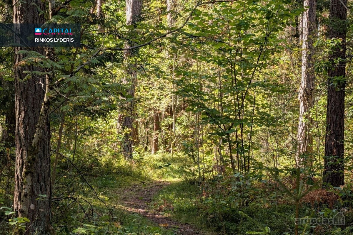 Parduodamas 4,35 A Sklypas Su Mūriniu Sodo - nuotraukos Nr. 15