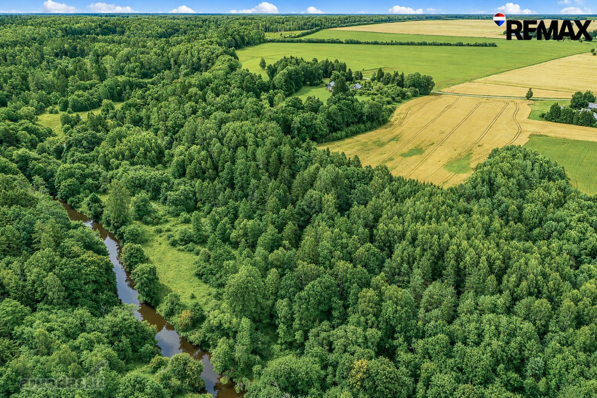 Parduodamas 7,2 ha Žemės Ūkio Paskirties - nuotraukos Nr. 3