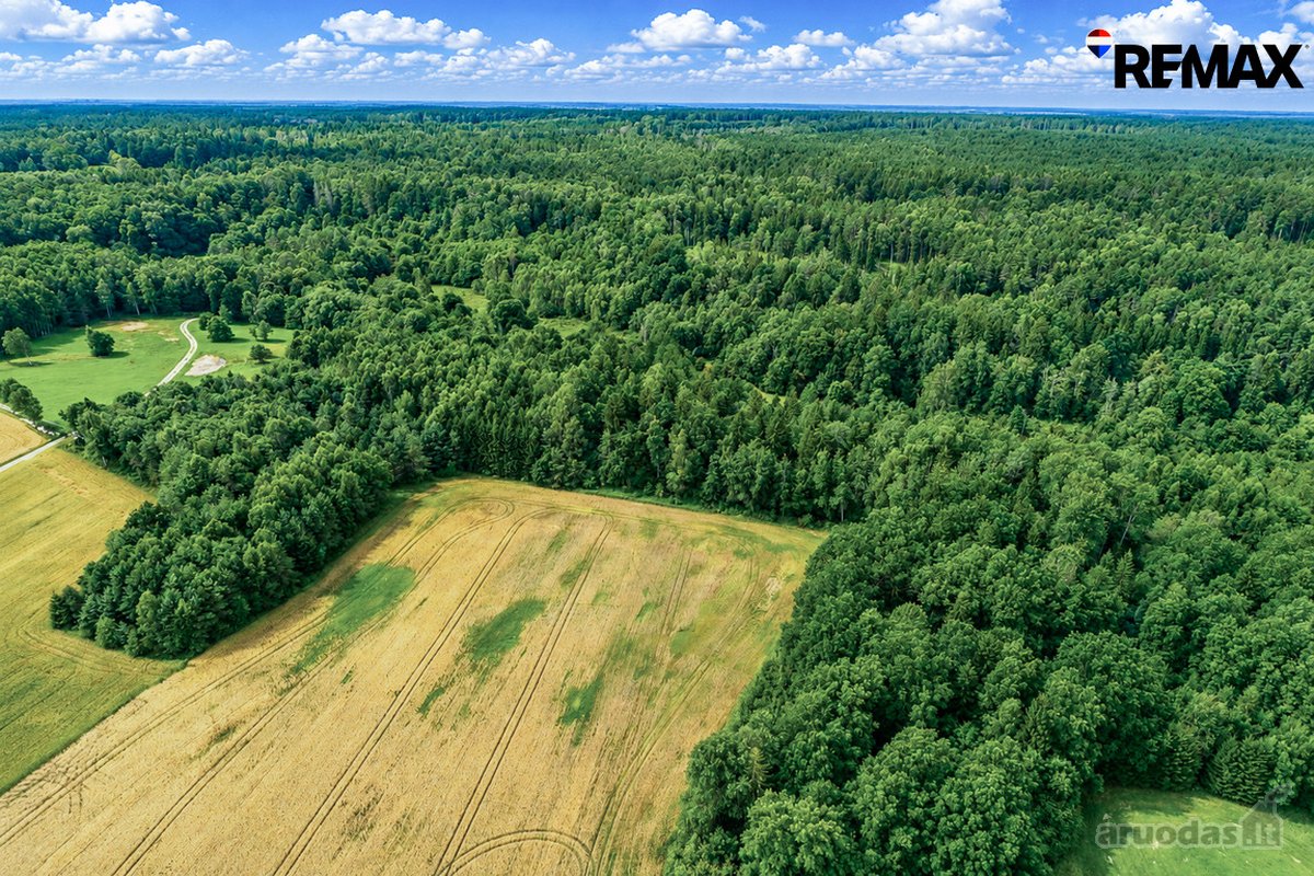 Parduodamas 7,2 ha Žemės Ūkio Paskirties - nuotraukos Nr. 8