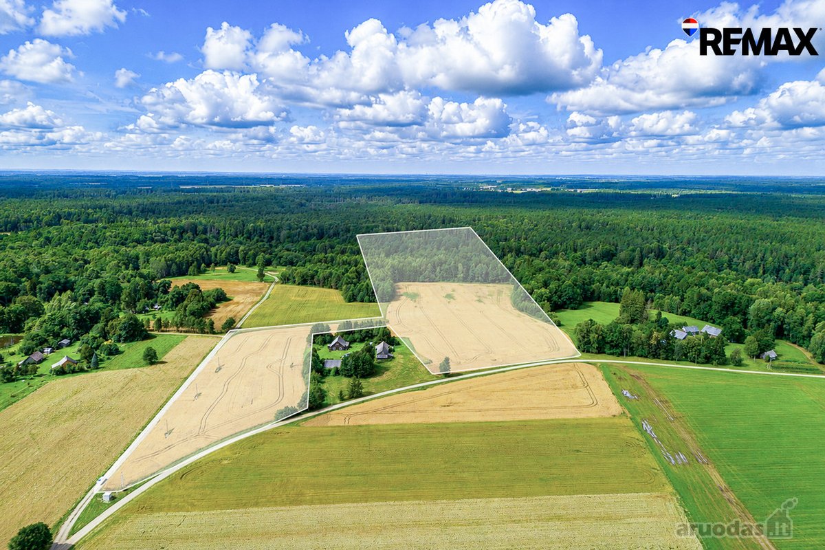 Parduodamas 7,2 ha Žemės Ūkio Paskirties - nuotraukos Nr. 11