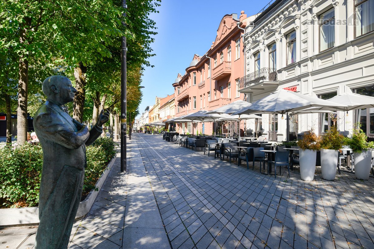 Parduodamas Išskirtinio Dizaino 3 Kambarių - nuotraukos Nr. 36
