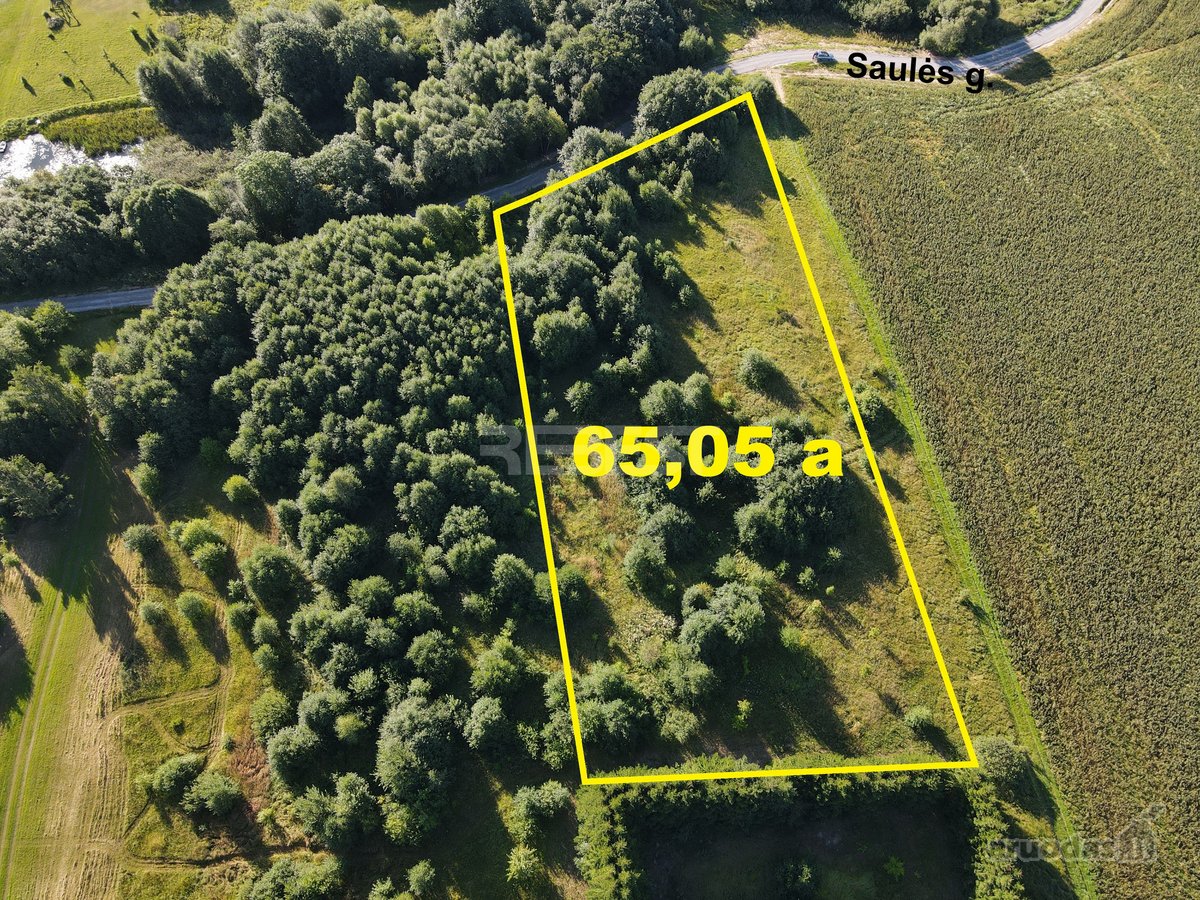 Parduodamas 65,05 a ploto rekreacinės - nuotraukos Nr. 4