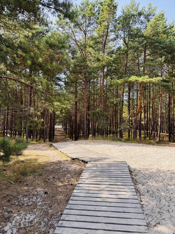 3 kambarių pilnai įrengti apartamentai Nidoje - nuotraukos Nr. 25