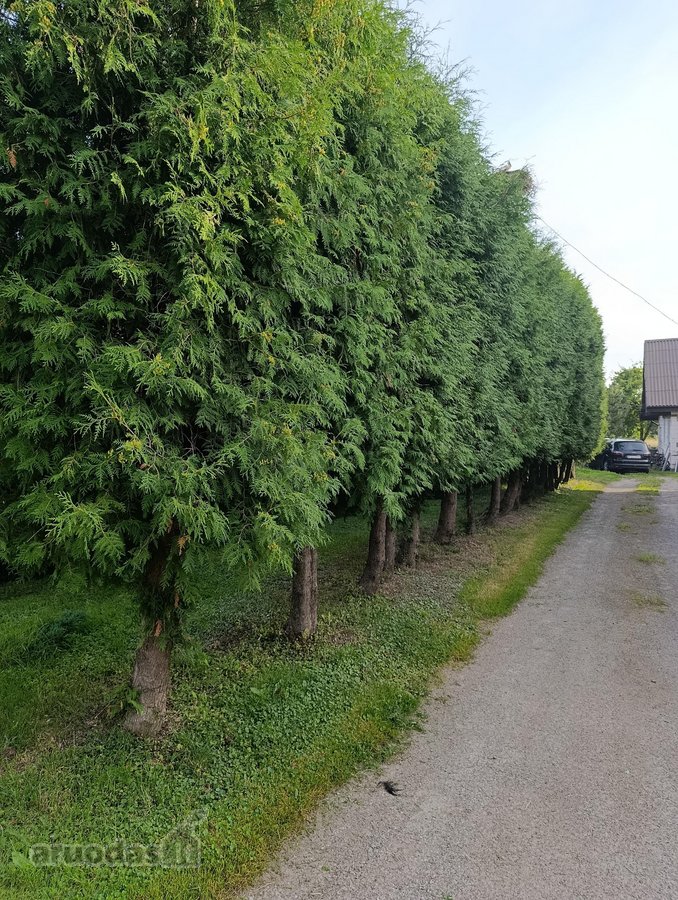Parduodamas namas kartu su 28 a. sklypu ir - nuotraukos Nr. 15