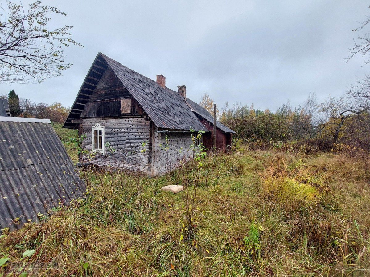 Išskirtinė išlaikyta sodyba su esamais - nuotraukos Nr. 4