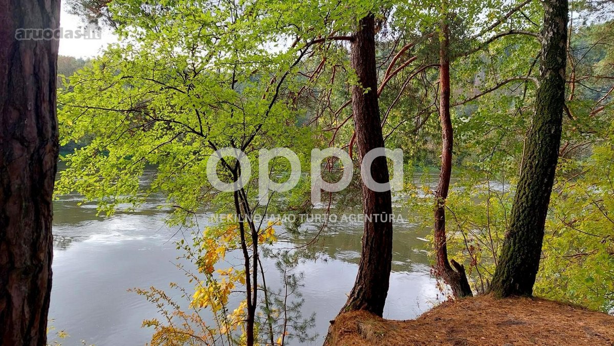 Nuostabios gamtos apsuptyje, išnuomojamas - nuotraukos Nr. 23
