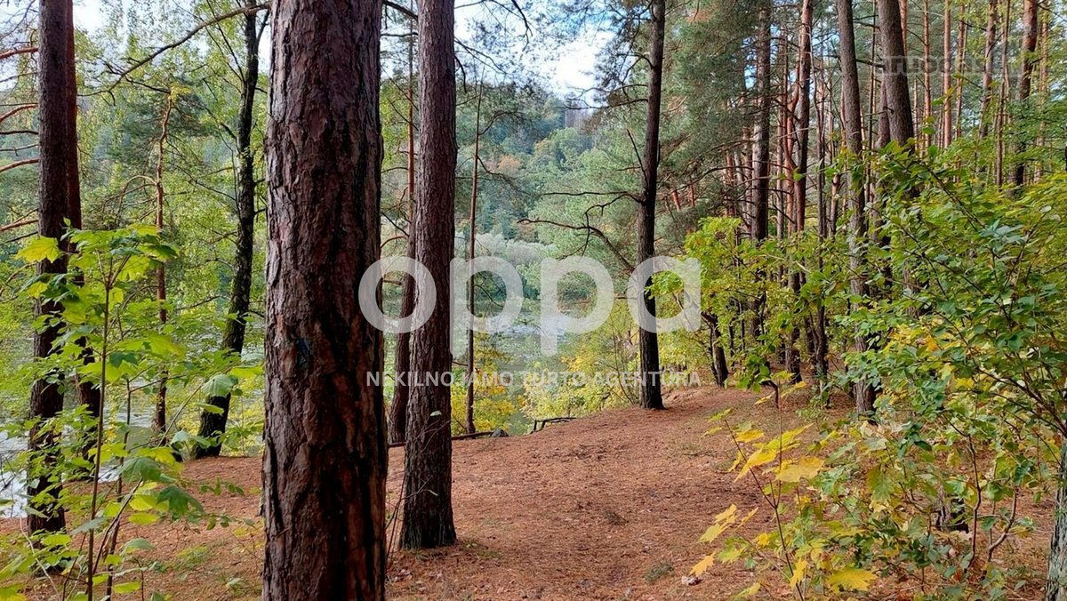 Nuostabios gamtos apsuptyje, išnuomojamas - nuotraukos Nr. 5