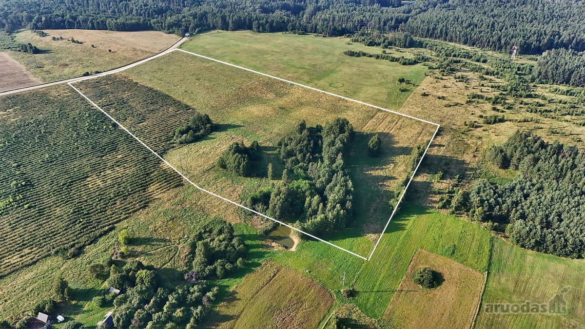 Parduodamas gamtos apsuptyje taisyklingos - nuotraukos Nr. 2