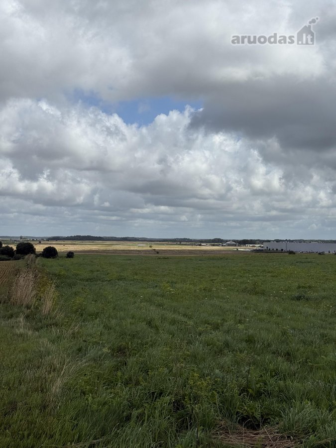 Klaipėdos r. sav., Sudmantų k. - nuotraukos Nr. 8