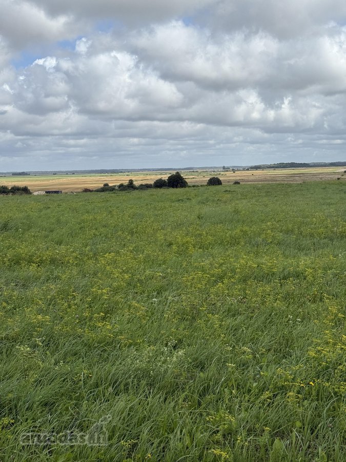 Klaipėdos r. sav., Sudmantų k. - nuotraukos Nr. 9