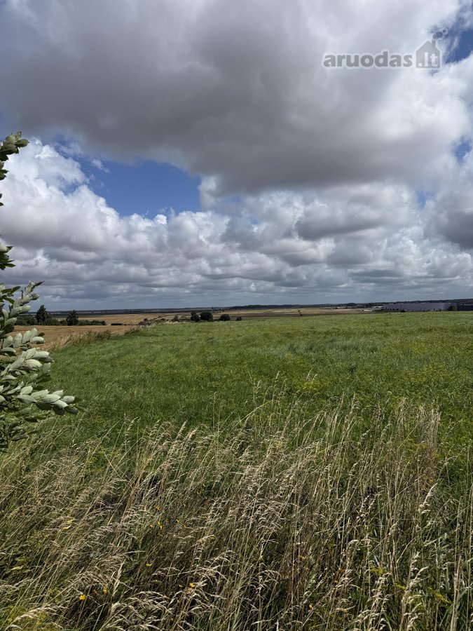Klaipėdos r. sav., Sudmantų k. - nuotraukos Nr. 11
