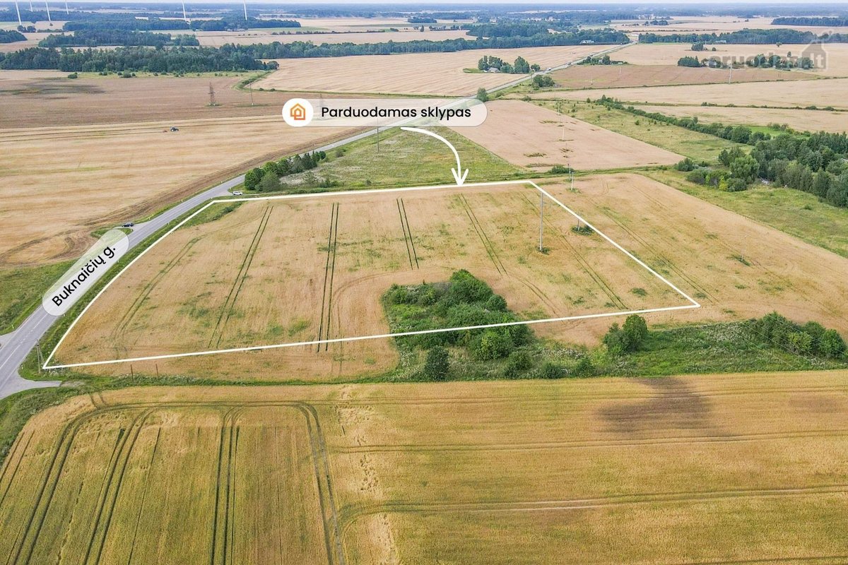 Patogioje lokacijoje parduodamas 3,0042 ha - nuotraukos Nr. 5