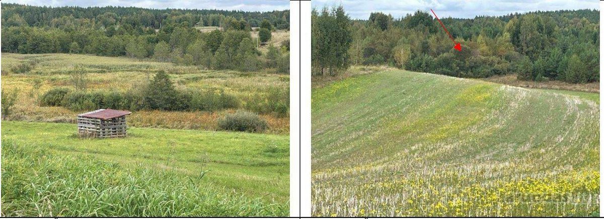 Parduodamas 4,63 ha žemės ūkio paskirties - nuotraukos Nr. 2