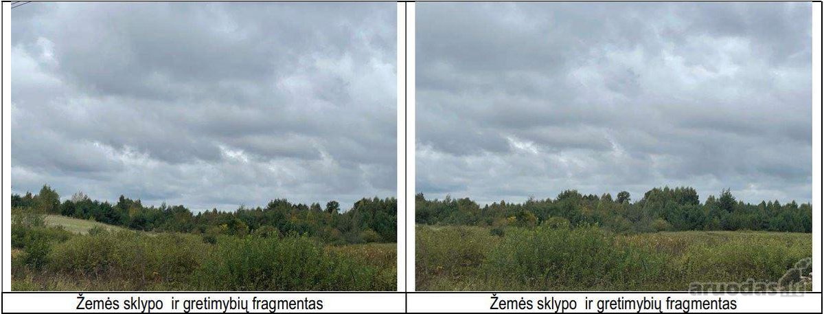 Parduodamas 4,63 ha žemės ūkio paskirties - nuotraukos Nr. 3