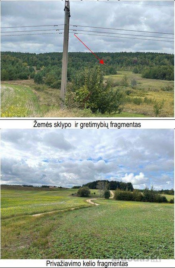 Parduodamas 4,63 ha žemės ūkio paskirties - nuotraukos Nr. 4