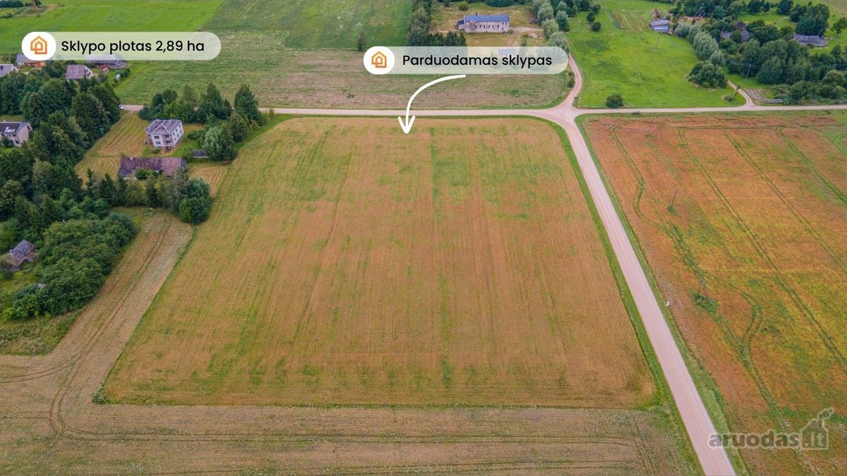 Parduodamas 2,89 ha žemės ūkio paskirties - nuotraukos Nr. 3