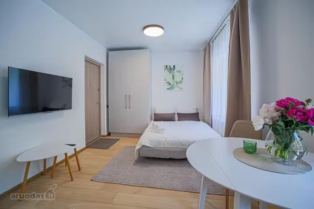 Puikus, naujas 1 kambario butas nuomai, su - nuotraukos Nr. 6