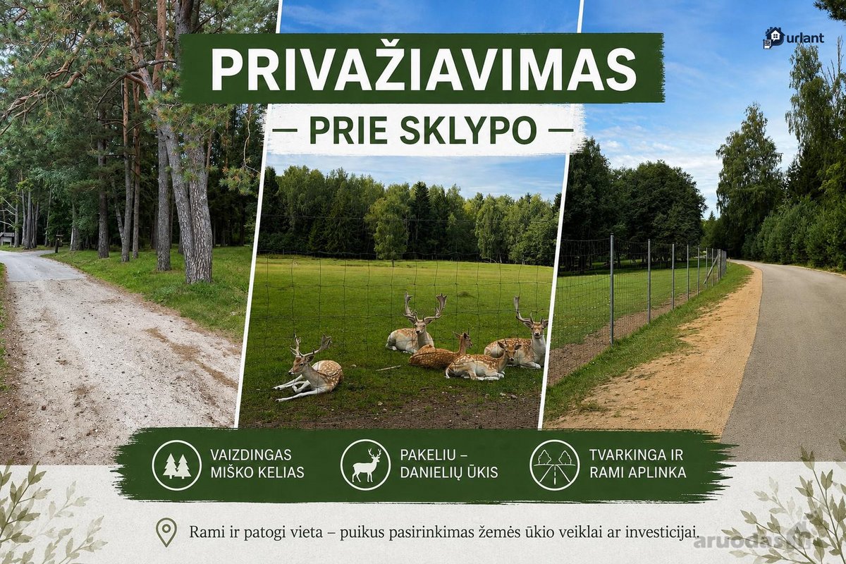 Parduodamas 1 ha žemės ūkio paskirties - nuotraukos Nr. 9