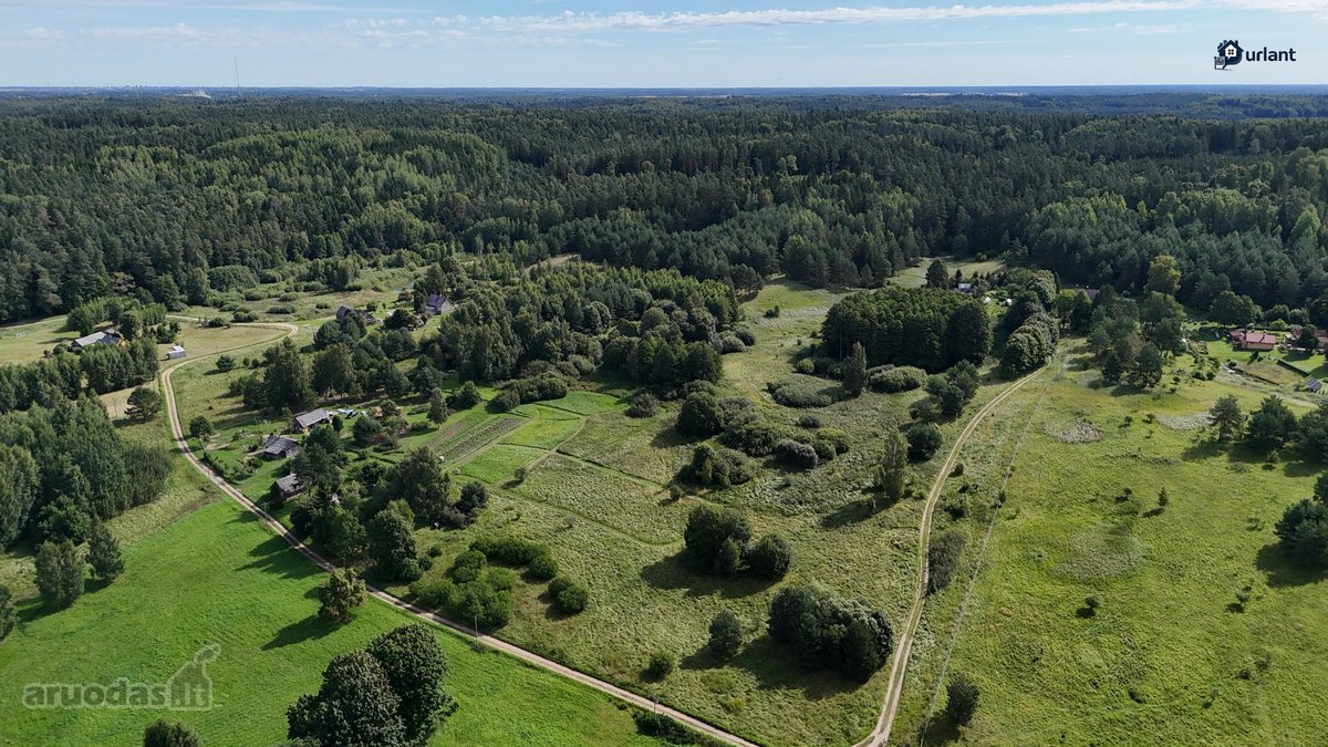 Parduodamas 1 ha žemės ūkio paskirties - nuotraukos Nr. 6