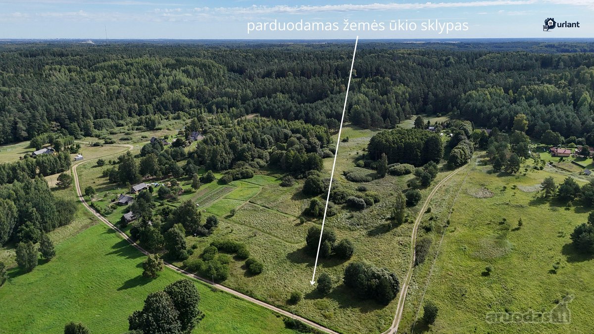 Parduodamas 1 ha žemės ūkio paskirties - nuotraukos Nr. 8