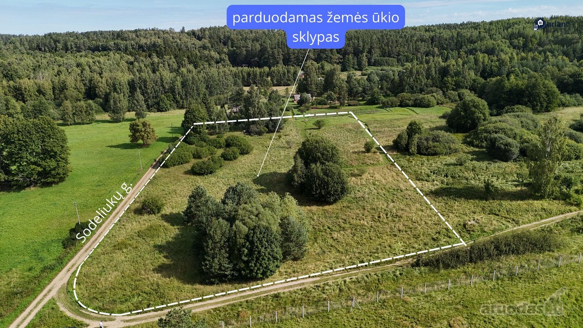Parduodamas 1 ha žemės ūkio paskirties - nuotraukos Nr. 2