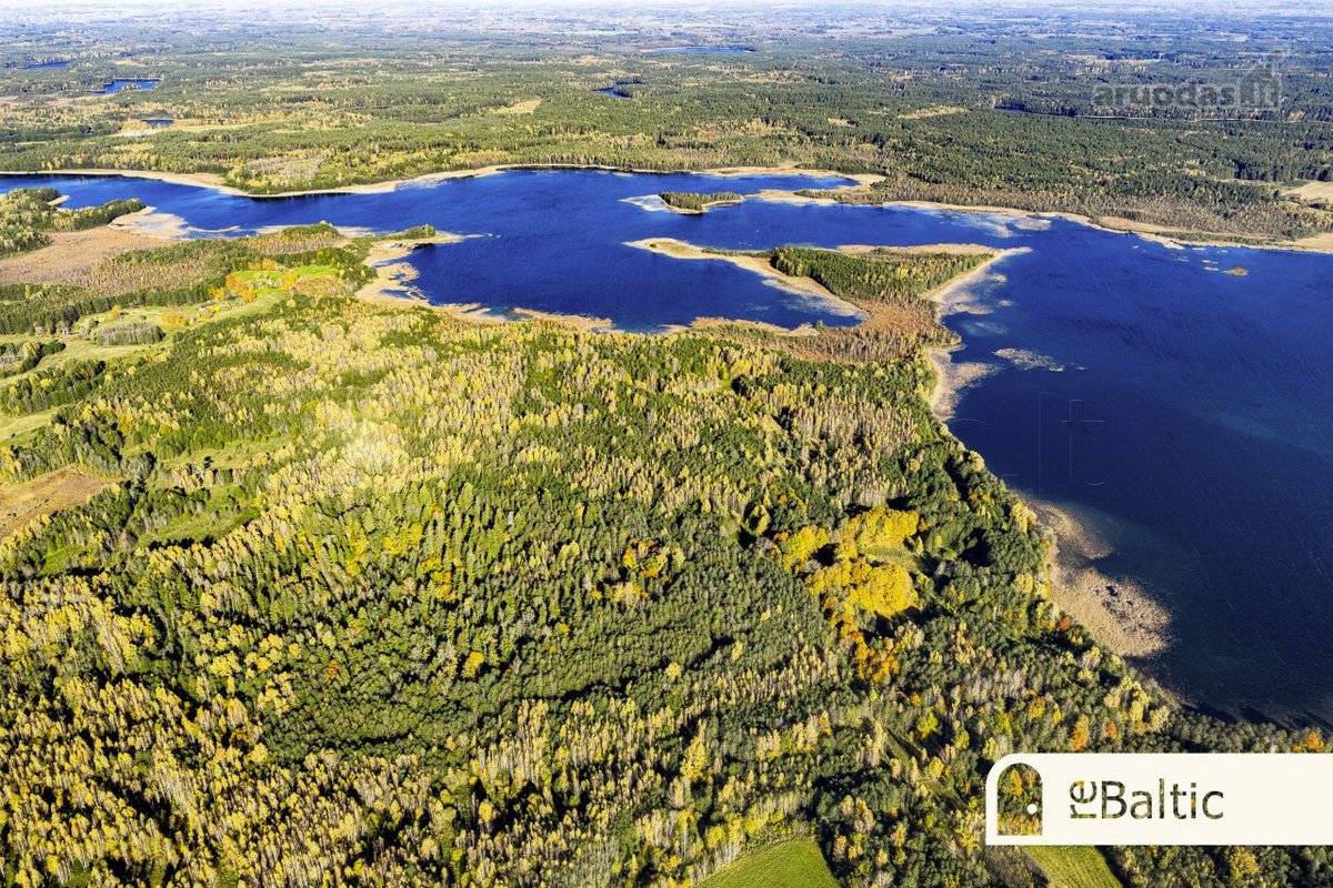 97.9 ha sklypas su pusiasaliu Stirnių ežere - nuotraukos Nr. 2