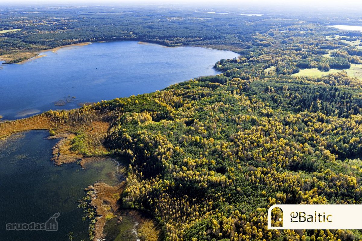 97.9 ha sklypas su pusiasaliu Stirnių ežere - nuotraukos Nr. 3