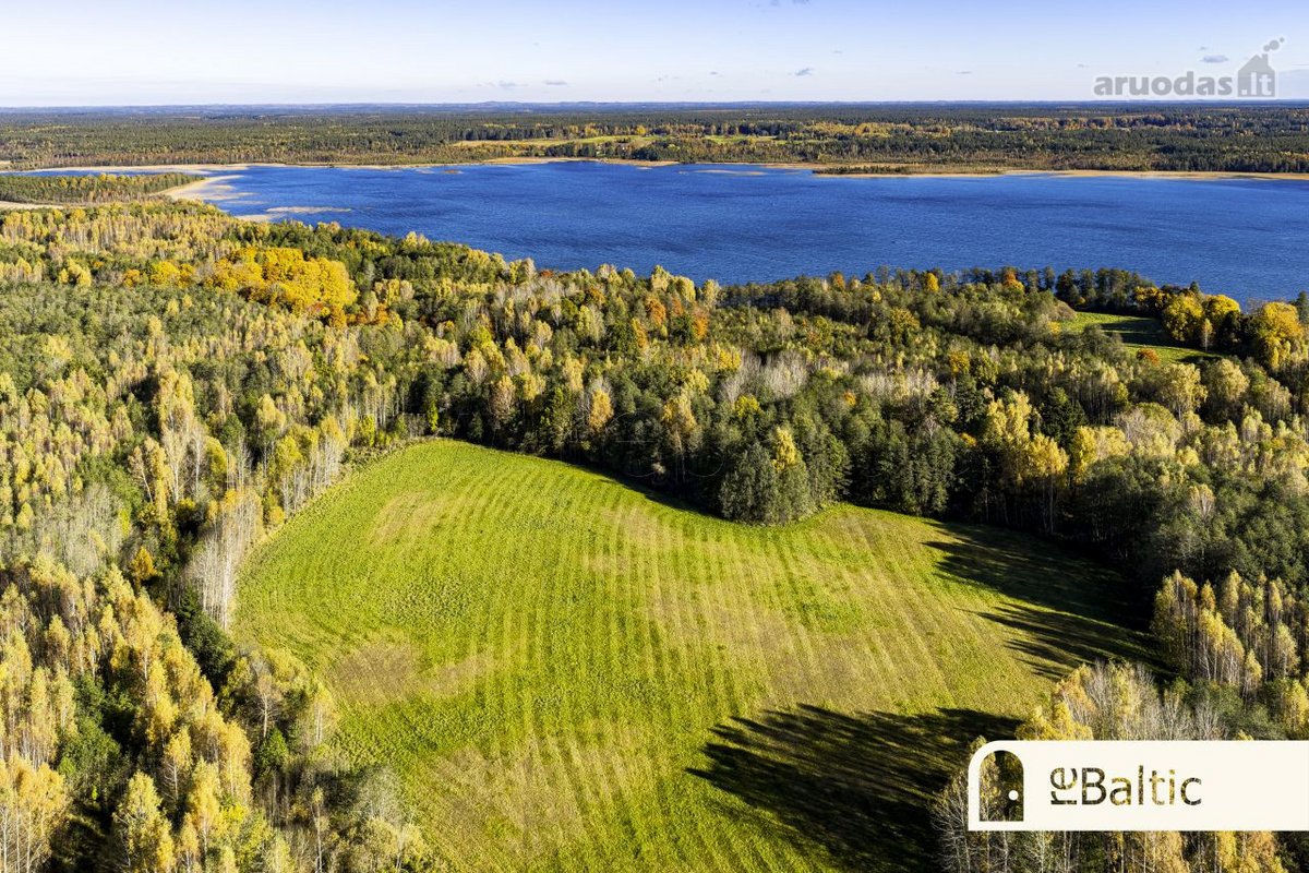 97.9 ha sklypas su pusiasaliu Stirnių ežere - nuotraukos Nr. 7