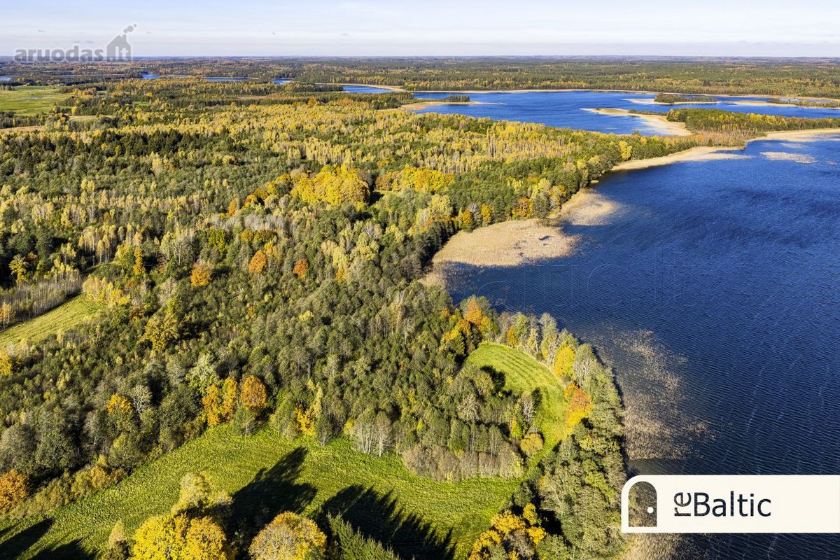 97.9 ha sklypas su pusiasaliu Stirnių ežere - nuotraukos Nr. 8