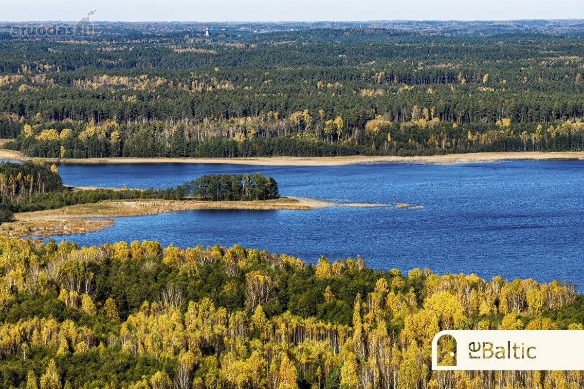 97.9 ha sklypas su pusiasaliu Stirnių ežere - nuotraukos Nr. 10