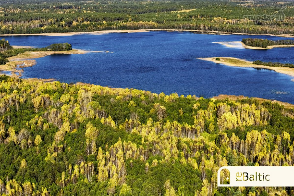 97.9 ha sklypas su pusiasaliu Stirnių ežere - nuotraukos Nr. 12