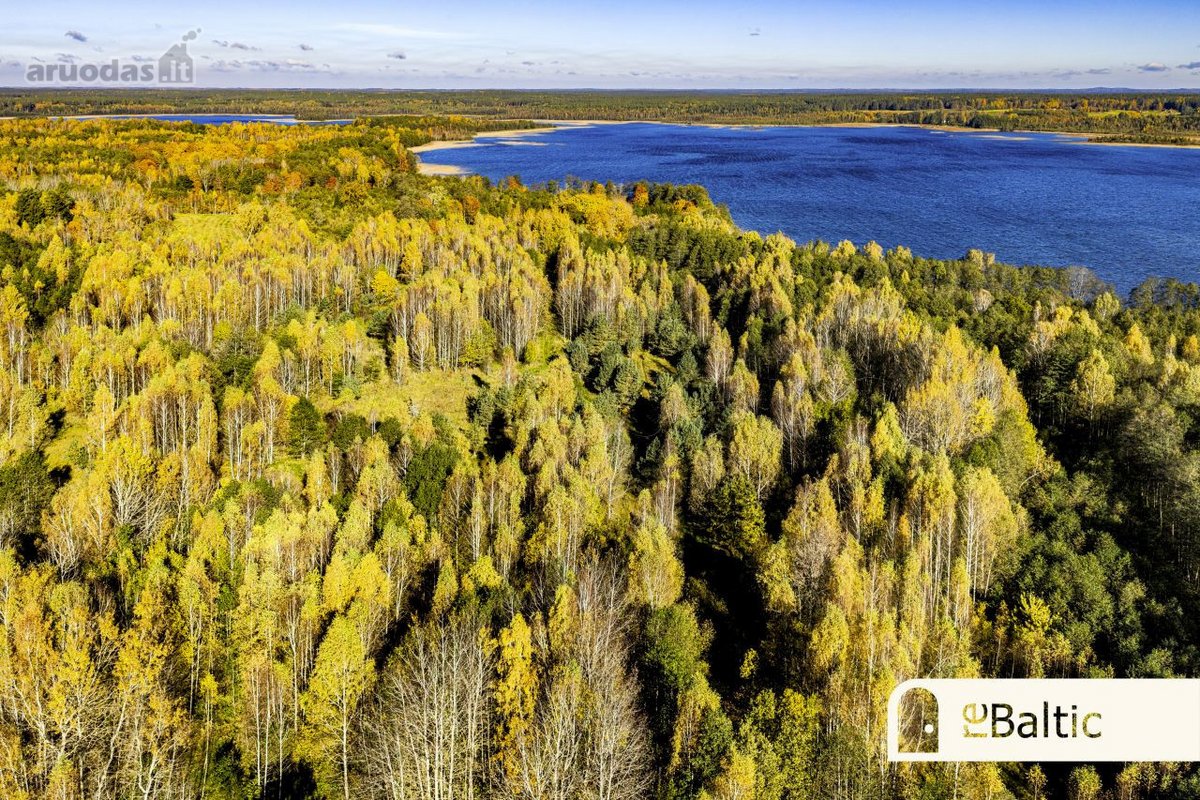97.9 ha sklypas su pusiasaliu Stirnių ežere - nuotraukos Nr. 13