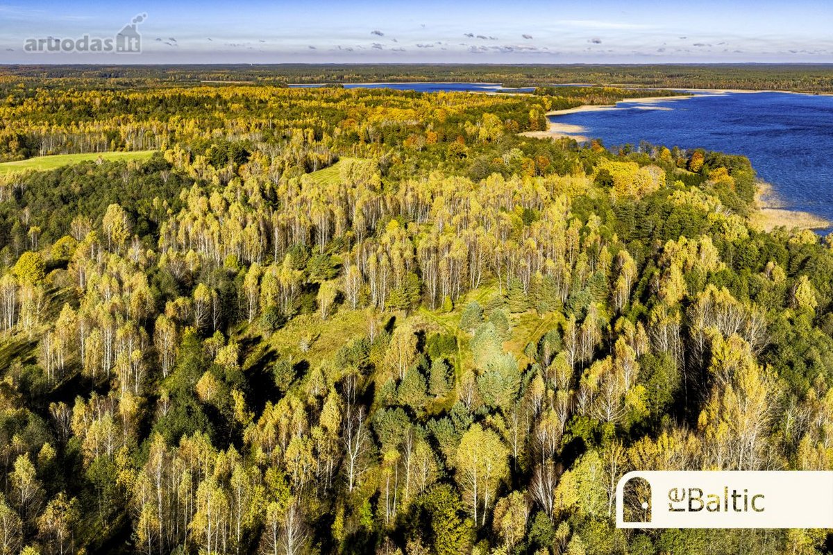 97.9 ha sklypas su pusiasaliu Stirnių ežere - nuotraukos Nr. 14