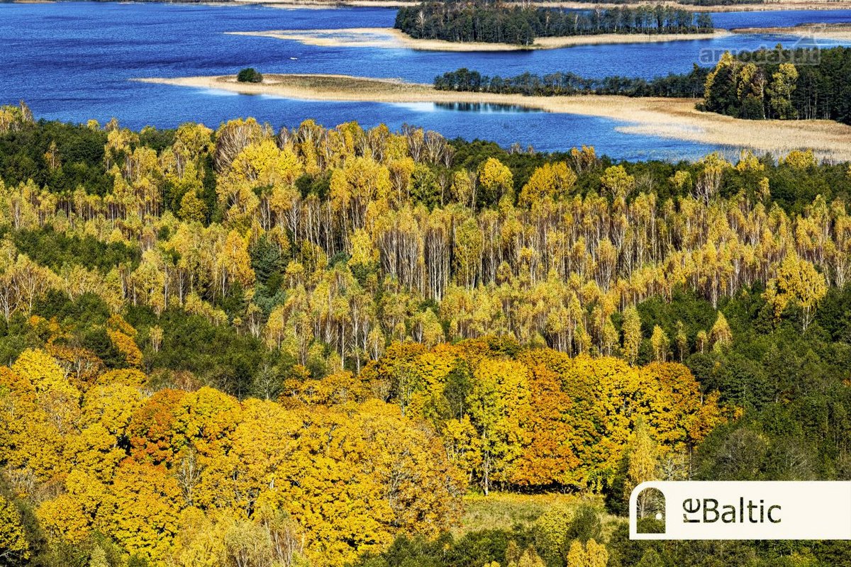 97.9 ha sklypas su pusiasaliu Stirnių ežere - nuotraukos Nr. 15
