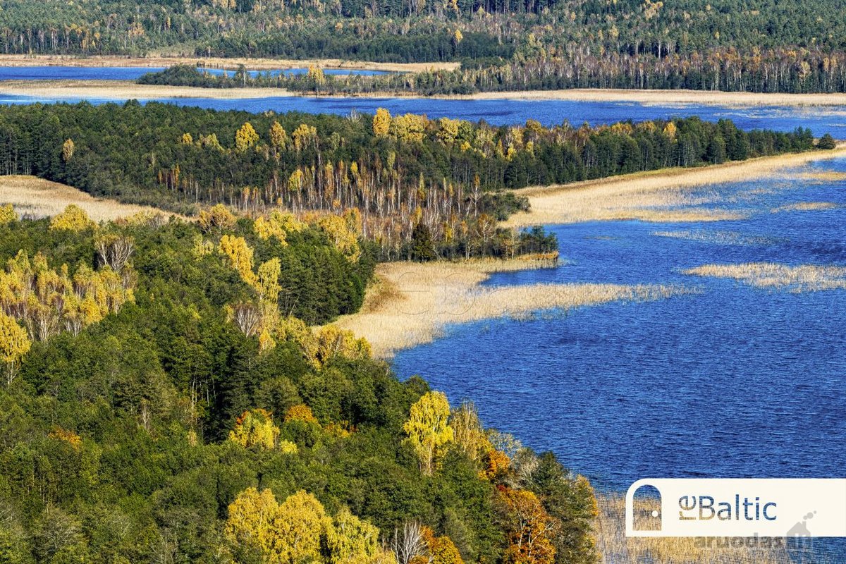 97.9 ha sklypas su pusiasaliu Stirnių ežere - nuotraukos Nr. 16