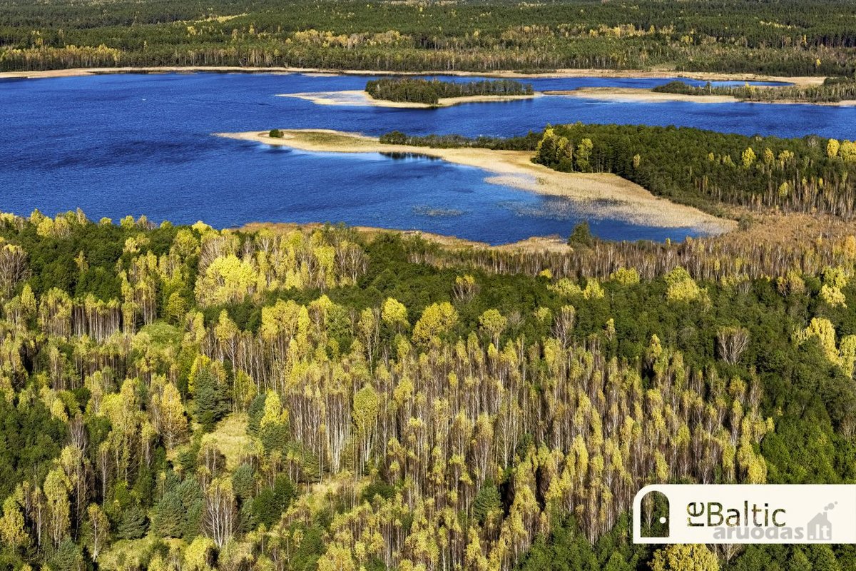97.9 ha sklypas su pusiasaliu Stirnių ežere - nuotraukos Nr. 17