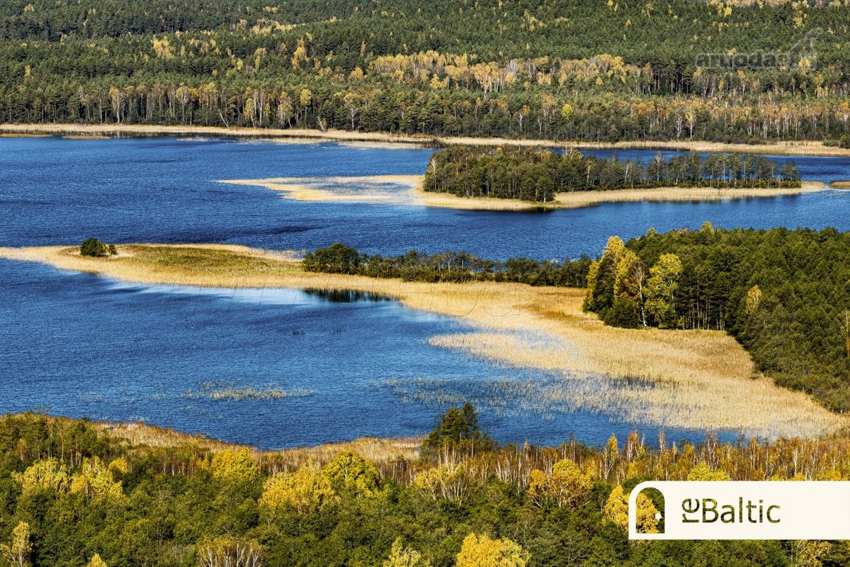 97.9 ha sklypas su pusiasaliu Stirnių ežere - nuotraukos Nr. 19
