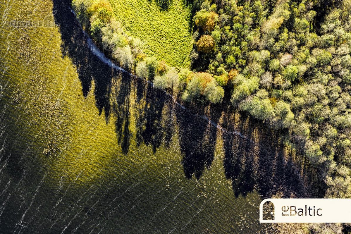 97.9 ha sklypas su pusiasaliu Stirnių ežere - nuotraukos Nr. 20